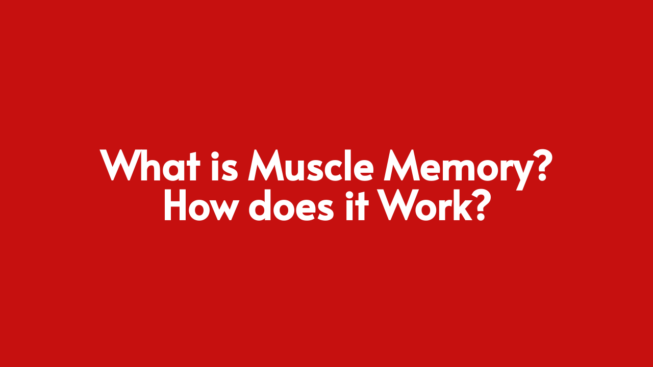 Muscle Memory